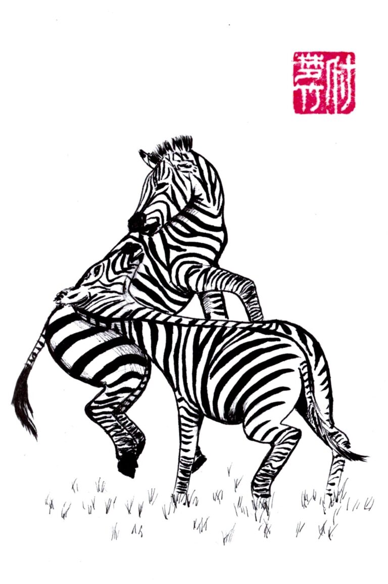 An ink drawing of two zebras running into each other with a red name stamp on the top right corner